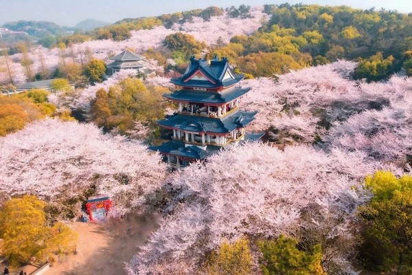 THƯỢNG HẢI - HÀNG CHÂU - Ô TRẤN - TÔ CHÂU - BẮC KINH